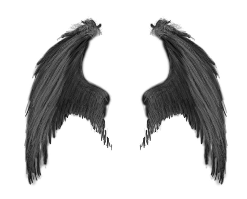 Wings PNG HD Images pngteam.com