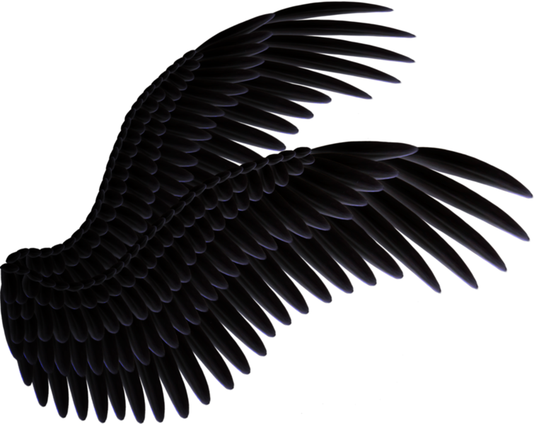 Wings PNG HD Image pngteam.com