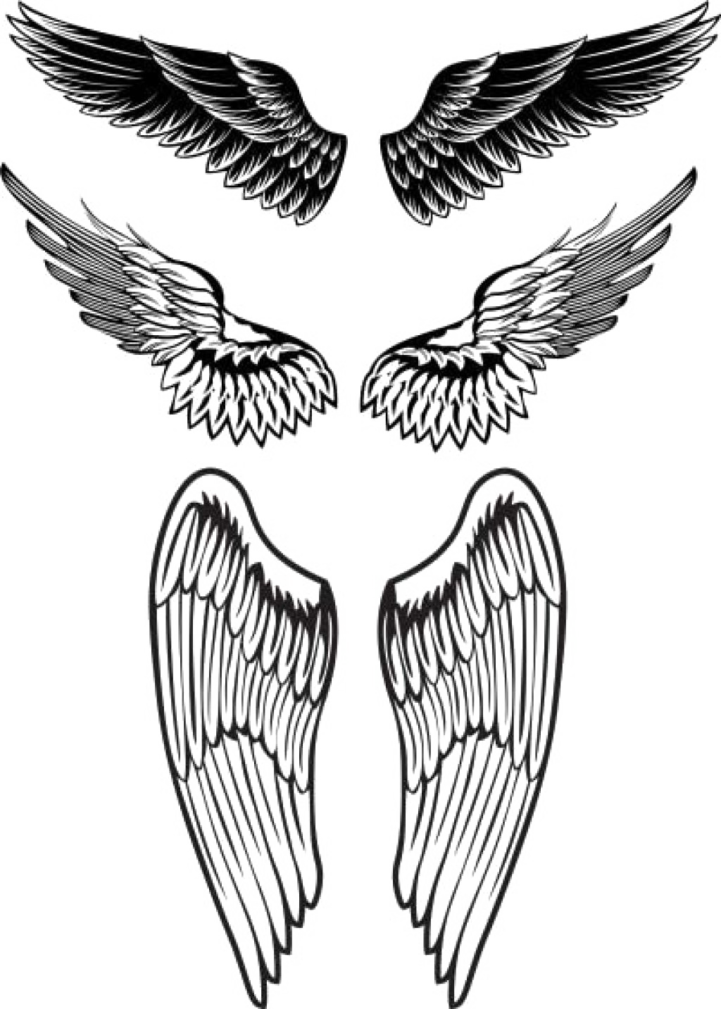 Wings Tattoos PNG HD