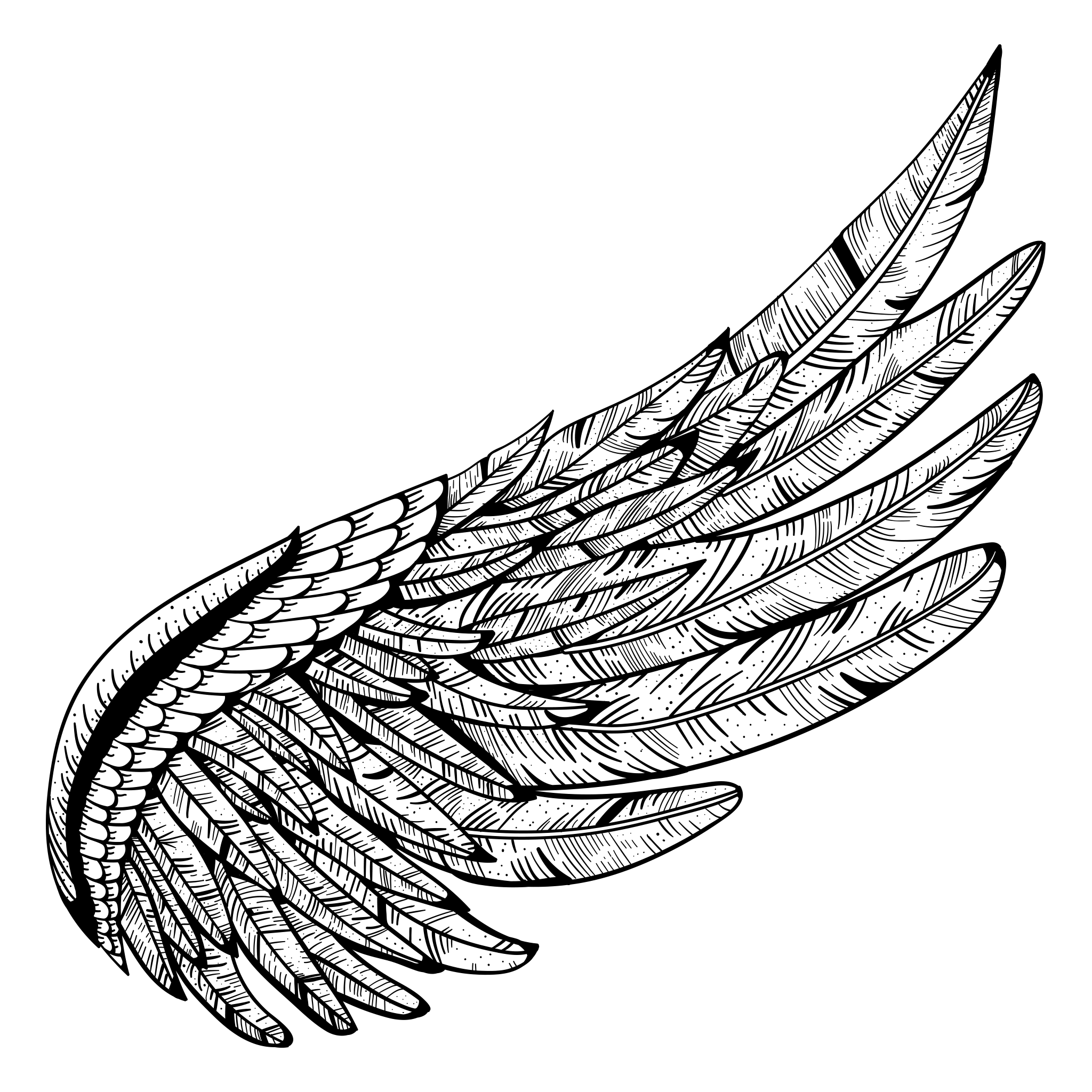 Wings Tattoos PNG HD and Transparent pngteam.com