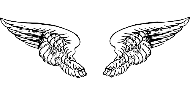 Wings Tattoos PNG Image in Transparent - Wings Tattoos Png