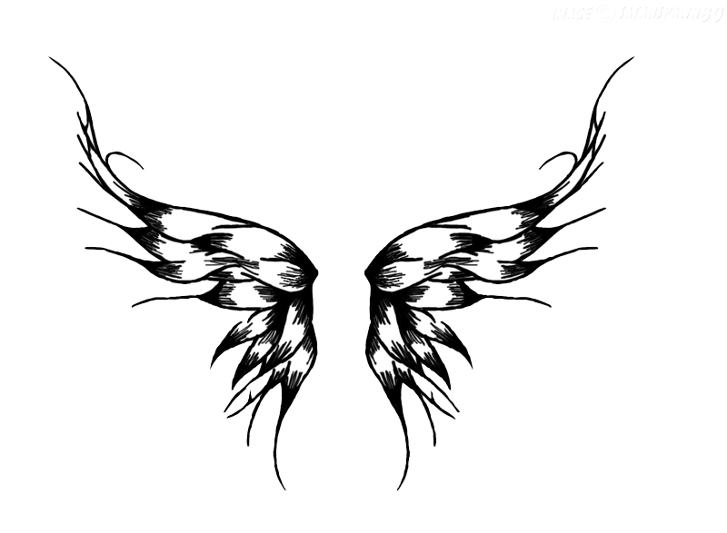 Wings Tattoos PNG Transparent pngteam.com
