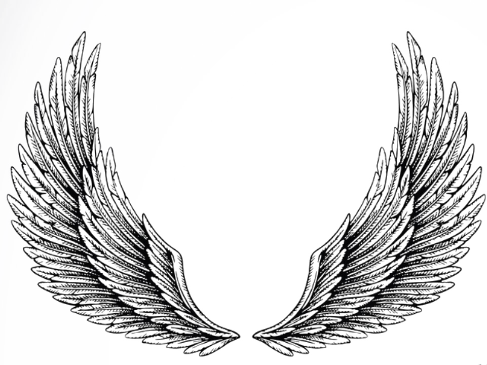 Wings Tattoos PNG Picture pngteam.com