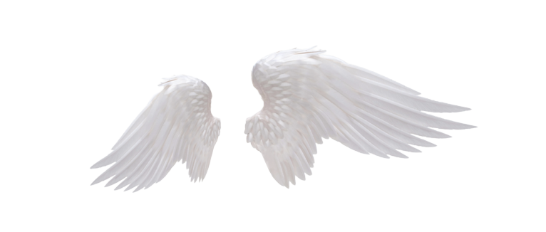 Angel Wings Png Image pngteam.com