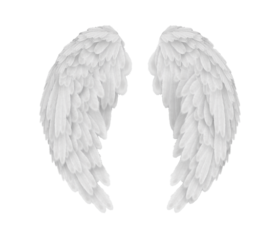 White Angel Wings Png Image