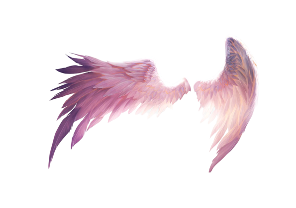Wings PNG HD and HQ Image pngteam.com