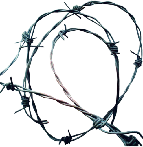 Download Wire PNG Image