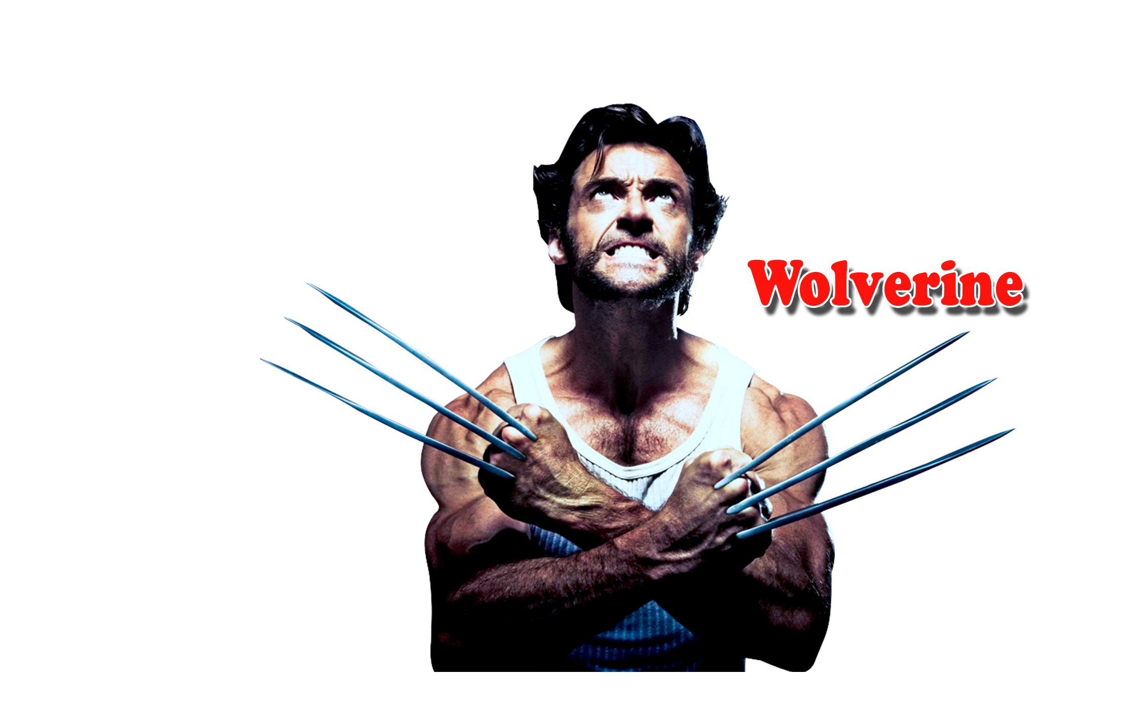 Wolverine PNG HD and HQ Image pngteam.com